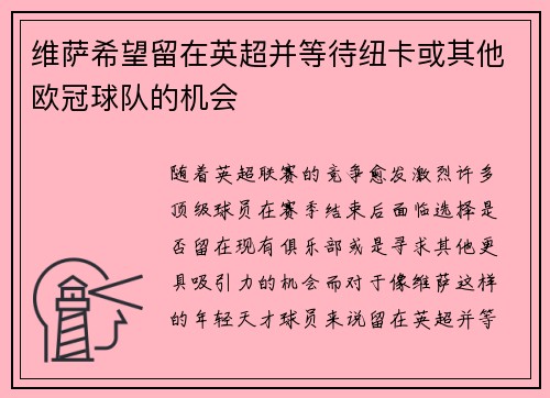 维萨希望留在英超并等待纽卡或其他欧冠球队的机会